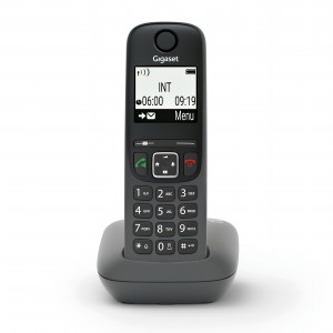Gigaset AS490 - View 1